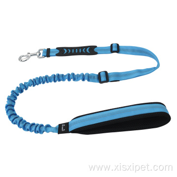 Dog Bungee Leash Material Lights Personalized Padded Feather